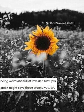 Be KIND!!